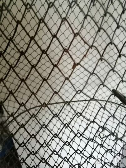 Сетка садок