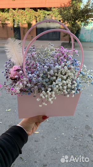 Цветы гипсофила