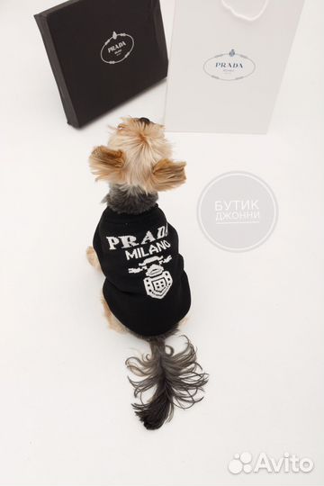 Кофта для собак Prada