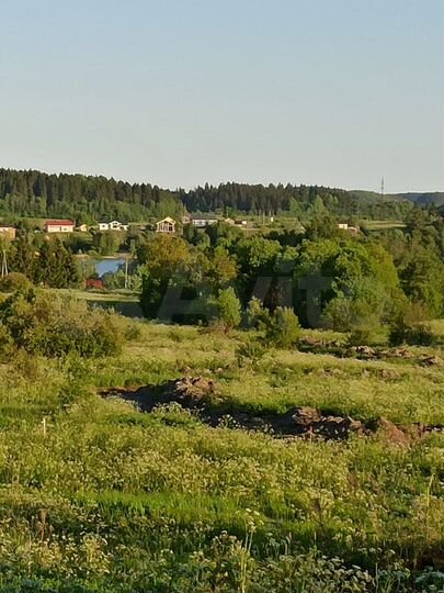 Участок 15 сот. (СНТ, ДНП)
