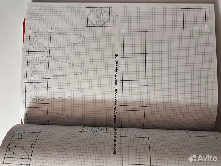 Тетрадь по стоматологии по моделированию зубов