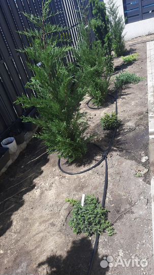 Монтаж автополива под ключ