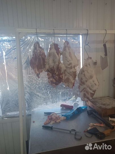 Мясо свинина домашняя