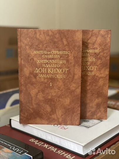 Хитроумный идальго Дон Кихот Ламанчский в 2-х т