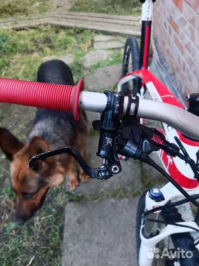 Велосипед карбоновый Wilier Centouno XC