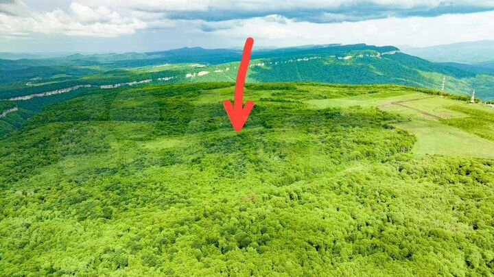 Участок 3,05 га (СНТ, ДНП)