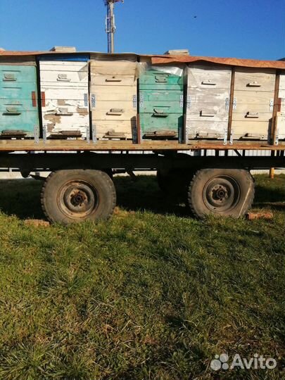 Улей для пчел бу