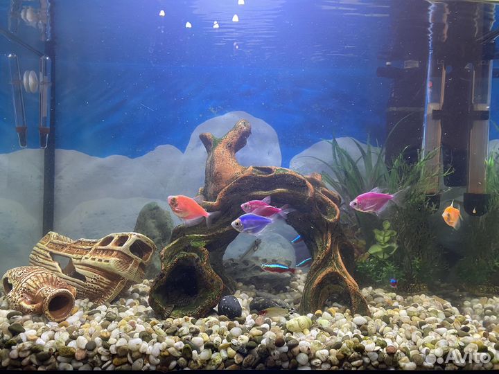 Аквариум 60 л с тумбой