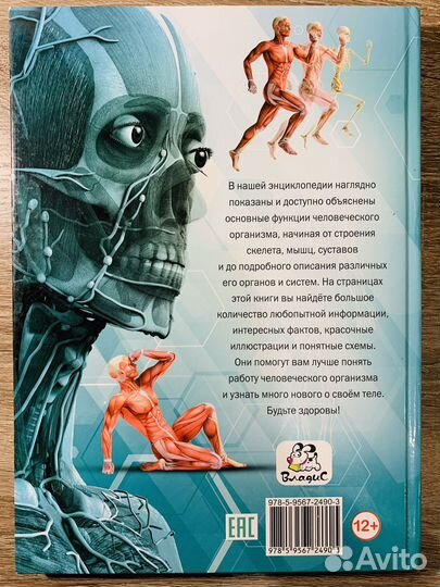 Энциклопедия Все о теле человека