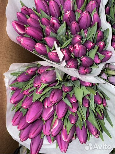 Тюльпаны на 8 марта букет