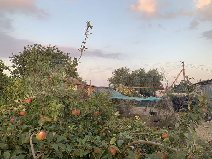 Дом 36 м² на участке 22 сот.