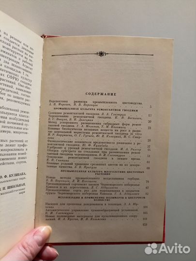 Промышленное цветоводство на юге. 1980 год