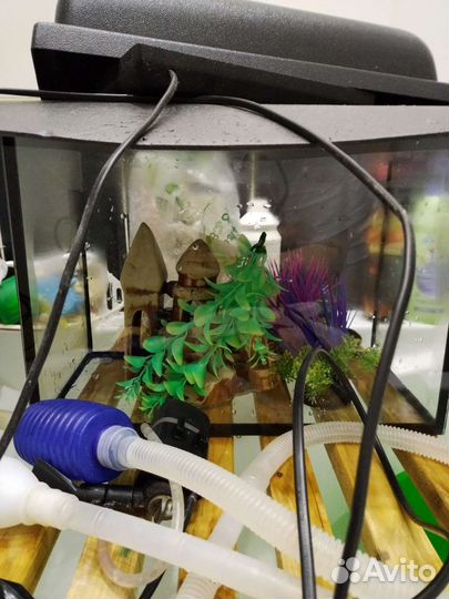 Аквариум