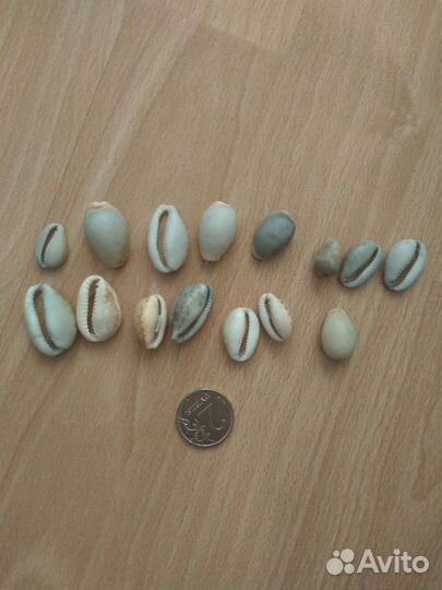 Ракушки и камни с отверстиями дырками поделки