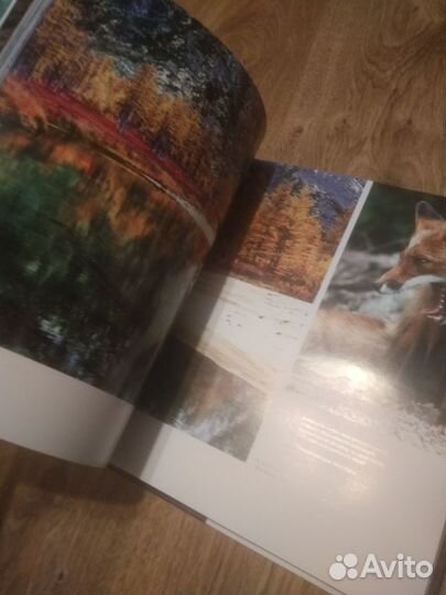 Новая книга Россия дальний восток