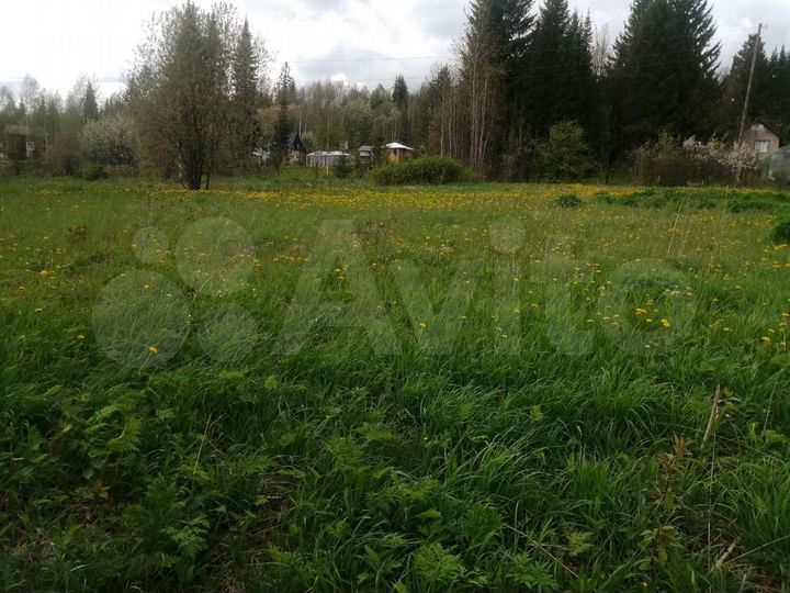 Участок 10 сот. (СНТ, ДНП)