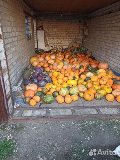 Тыква, картофель