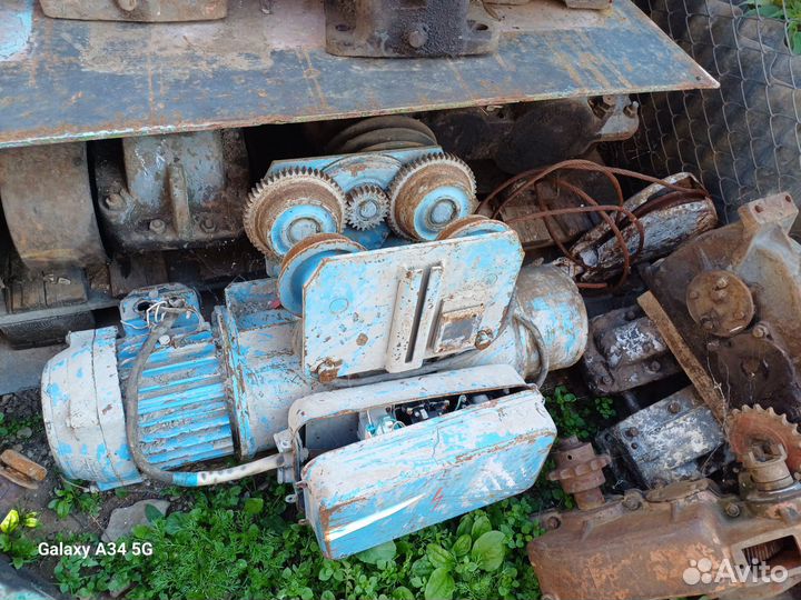 Тельфер болгарский