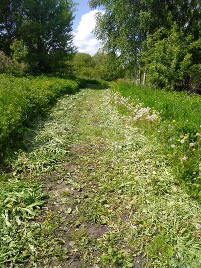 Участок 15 сот. (ИЖС)