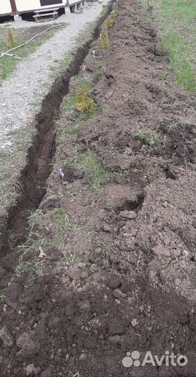 Рулонный,посевной газон,работы по подготовке