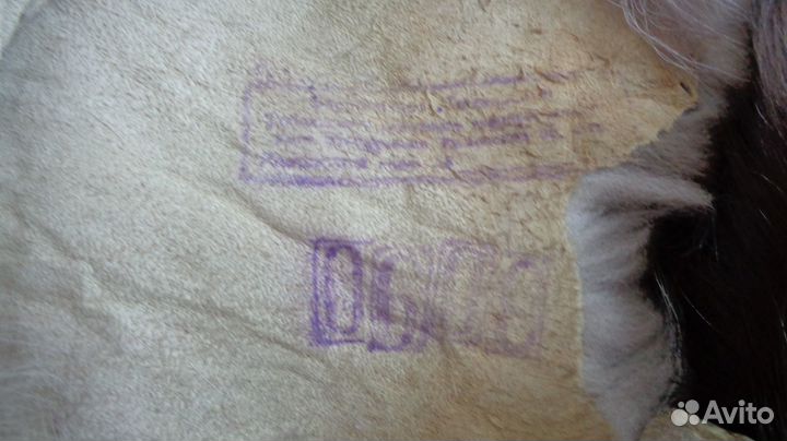 Шкурка песца