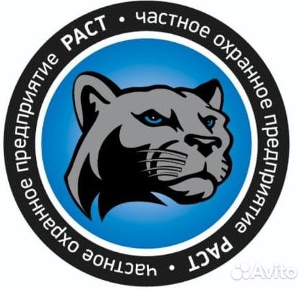 сторож курск вакансии. чоп есаул курск. работа в охране. ищу работу сторожем. чоп стандарт безопасности москва.