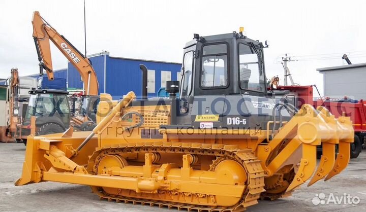 Beezone D16-5, 2023