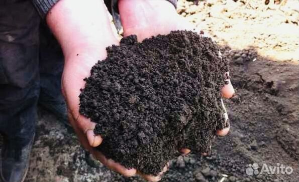 Чернозём Рязанский Земля плодородная d79