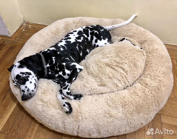 Лежанка для собак и кошек Бесплатная доставка