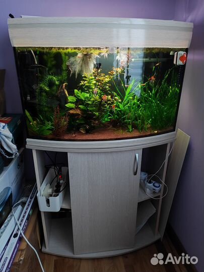 Аквариум панорамный 120-125 литров