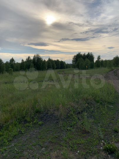 Участок 900 га (СНТ, ДНП)