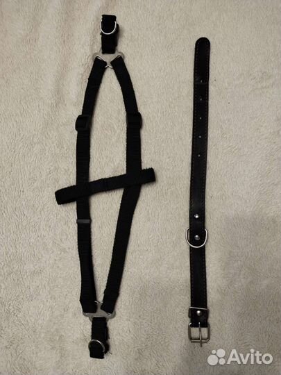 Шлейка и ошейник для небольшой собачки