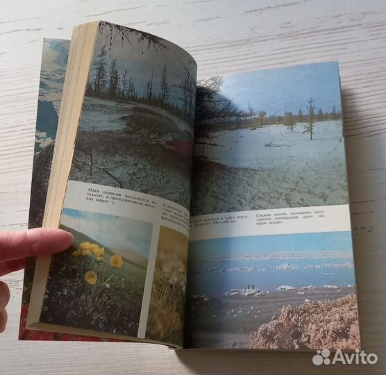 Книга В.И.Турманина. Растения рассказывают