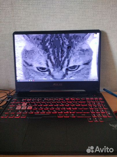 Ноутбук asus tuf gaming fx505dt al87