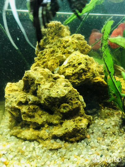 Камень песчаник в аквариум, грот