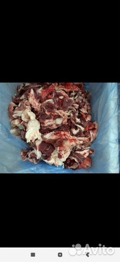 Мясо говядина для собак