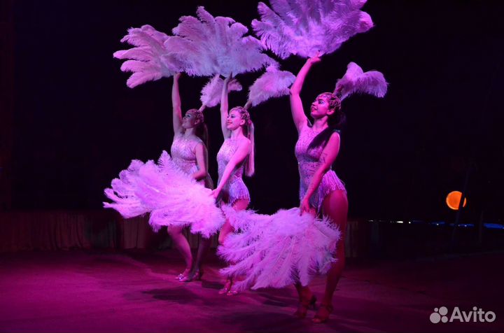 Шоу-балет, артисты на свадьбу, светодиодное шоу