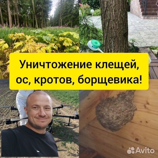 Обработка от клещей, борщевика, ос, кротов
