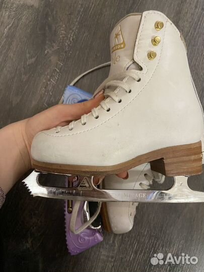 Коньки Jackson elle