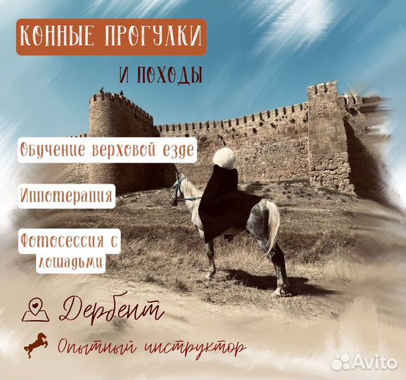 Конные прогулки