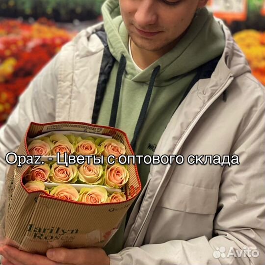 Розы Эквадор 60см