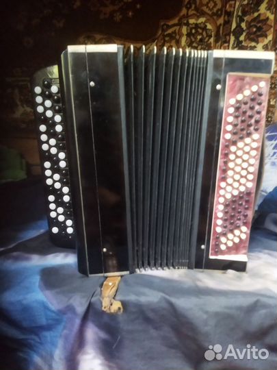 Баян тульский 2 степени