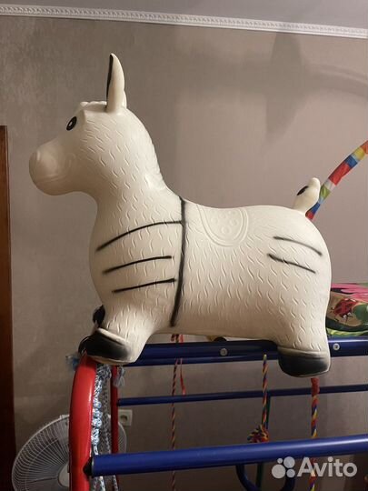 Ослик прыгун