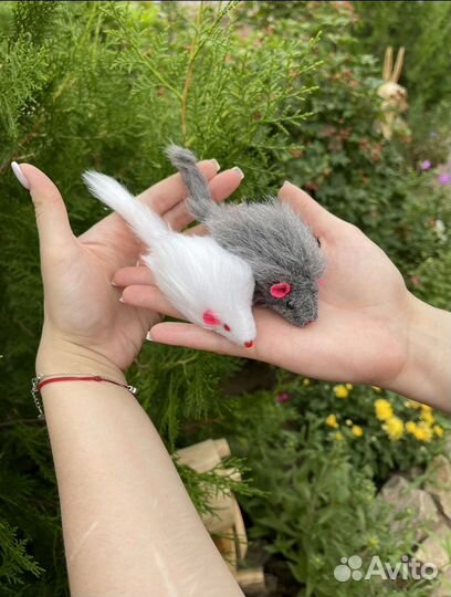 Игрушки для кошек