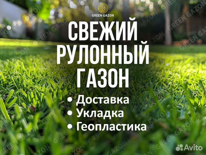 Газон в рулонах премиальный под ключ