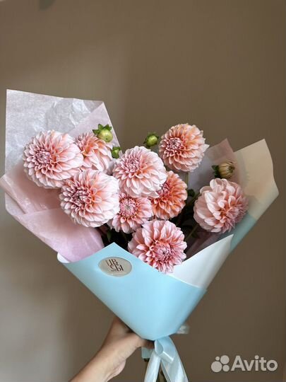 Букет из георгинов премиум. Доставка цветов