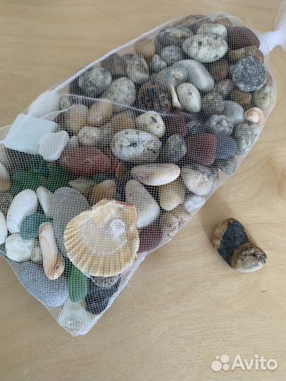 Камни Черного моря