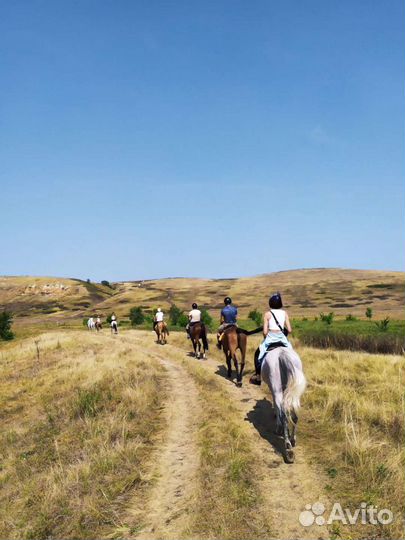 Конюх-скотник