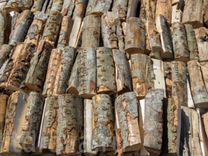 Warcraft iii: reforged иллидан. река село орда пермский край. ординский ухаб 2022. село орда пермский край. опачевка ординского района.