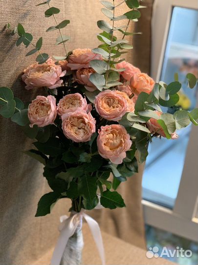 Розы пионовидные 11 15 25 51 Доставка